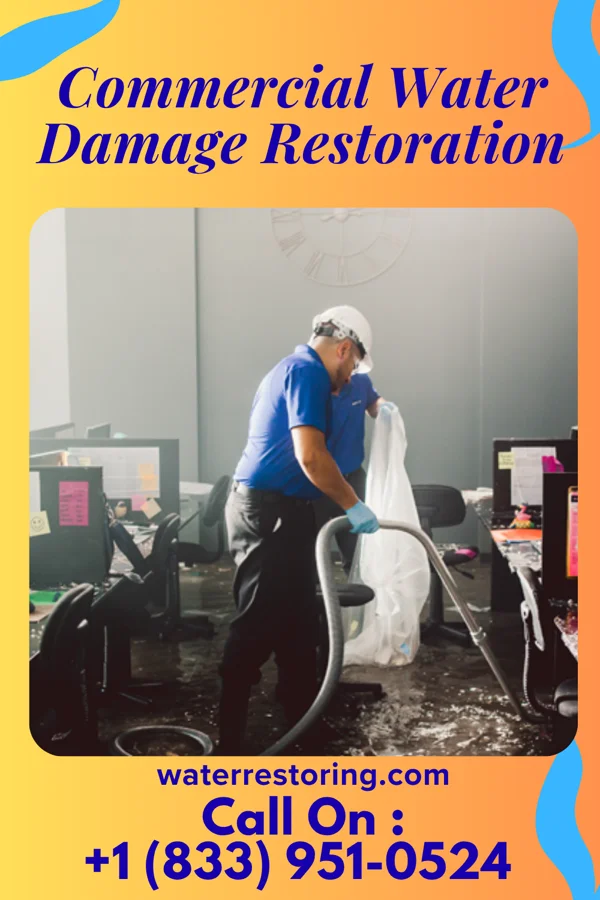 Commercial Water Damage Restoration in Crystal, NM
